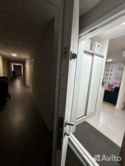 Дверь входная от застройщика Пик