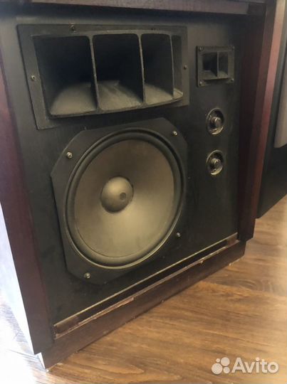 Акустические колонки onkyo -scepter 100