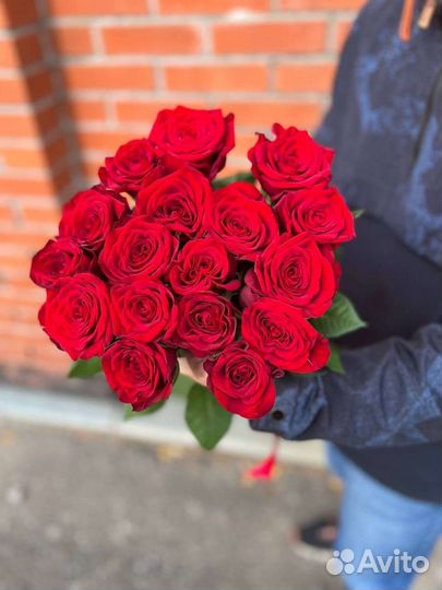 Голландская Свежая роза 15 шт