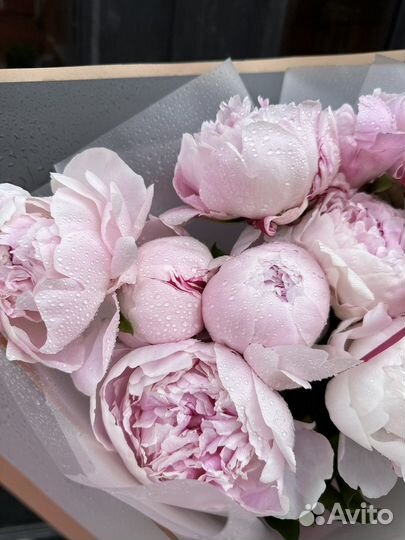 Букет пионов