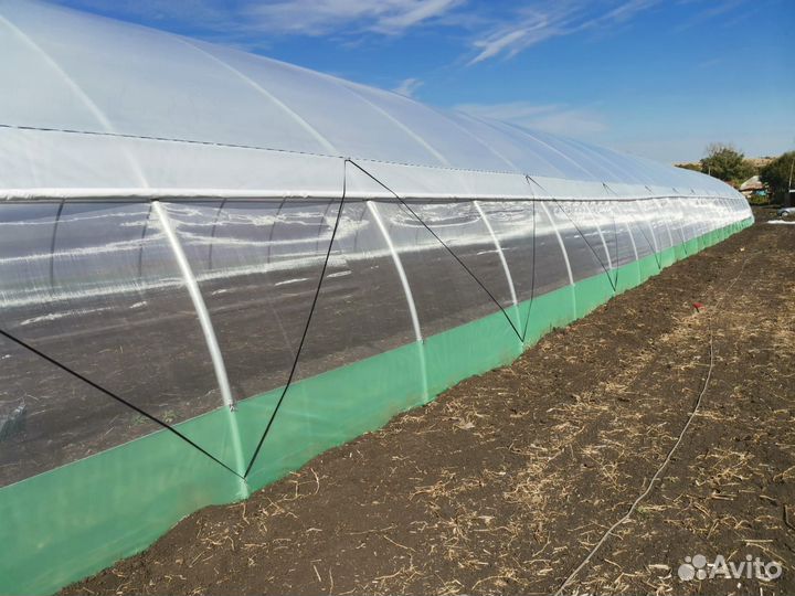 Теплица фермерская 500м2