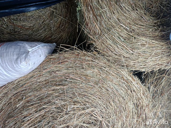 Продам сено в рулонах