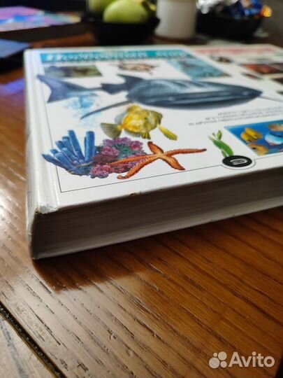 Энциклопедия