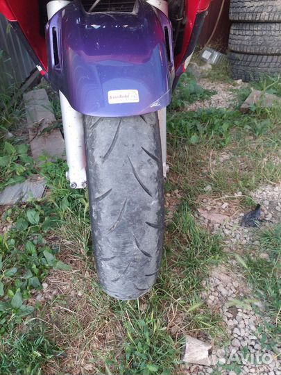 Спорт турист