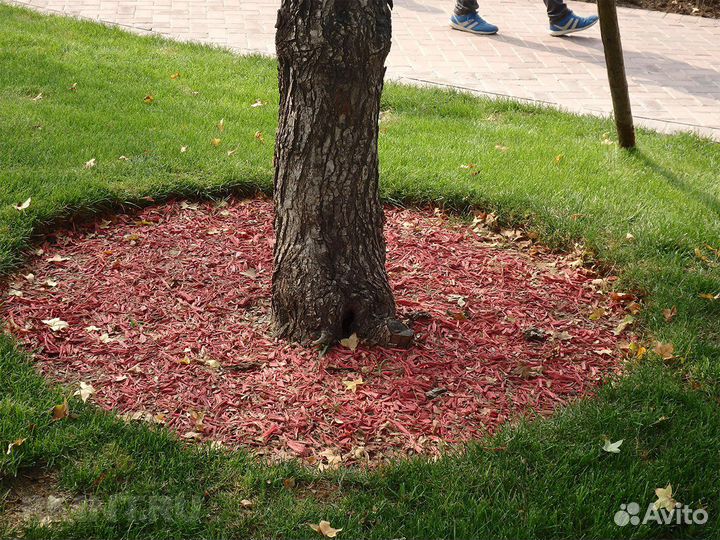 Кора, мульча лиственницы, сосны. 