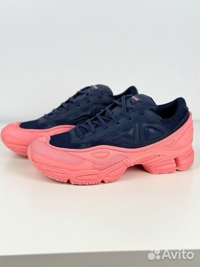 Adidas Raf Simons Ozweego Новые Оригинал