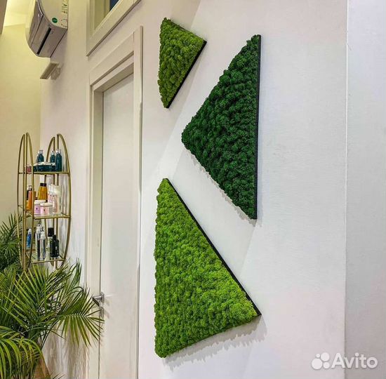 Мох стабилизированный ягель панно из мха мох