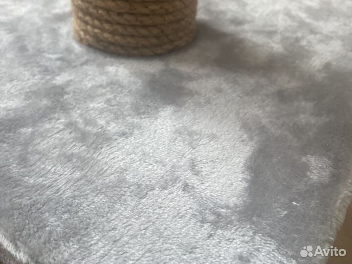 Когтеточка