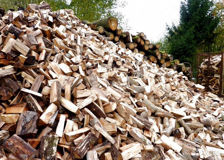 Дрова осина от производителя