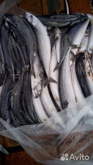 Продукты питания