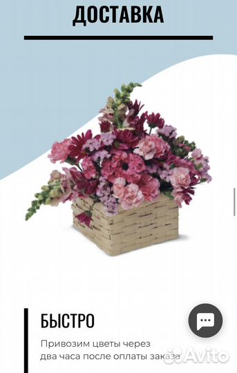 Создание сайтов под ключ + продвижение