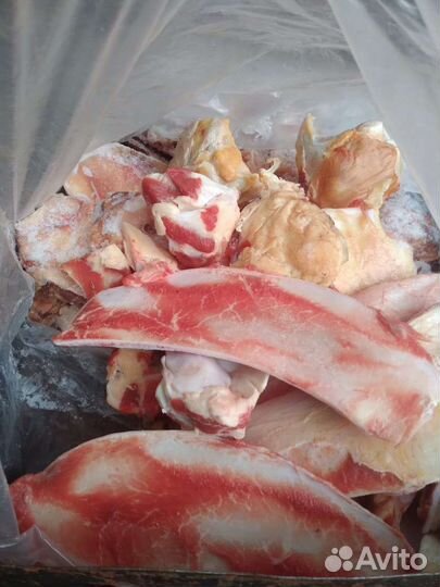 Хрящи говяжьи на корм животным