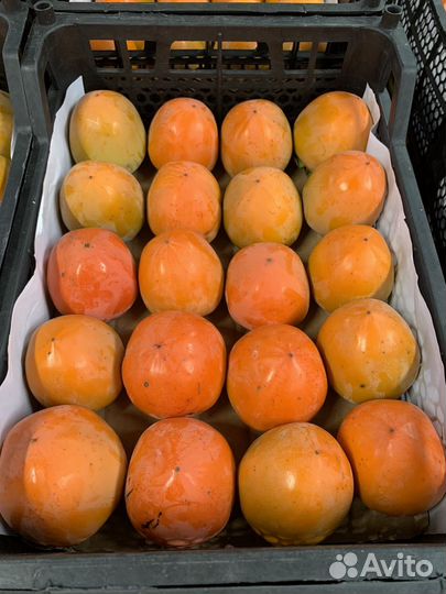 Овощи и фрукты оптом в розницу