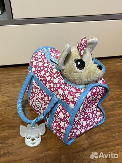 Собака чичилав в сумочке