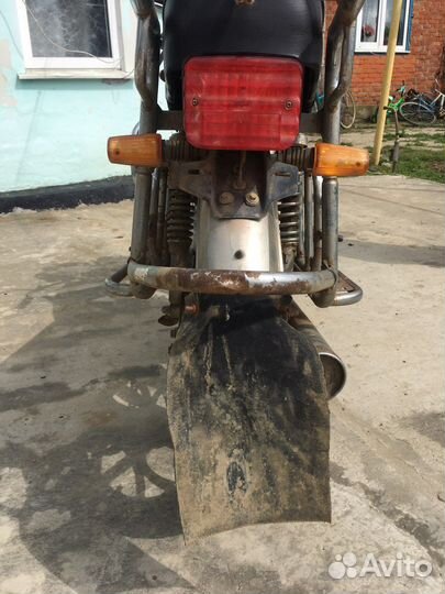 Продам вираго ирбис