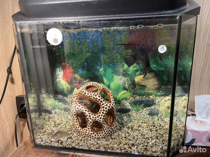 Аквариум с рыбками бу