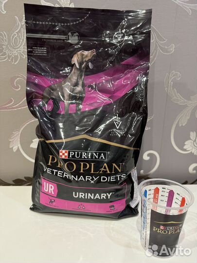 Сухой корм для собак