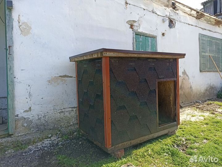 Собачья будка