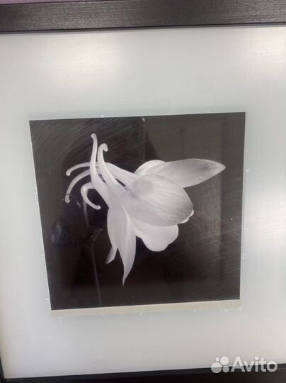 Картина из IKEA