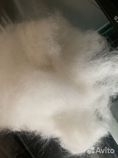 Собачья шерсть