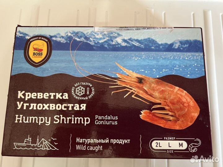 Креветка углохвостая Сахалин