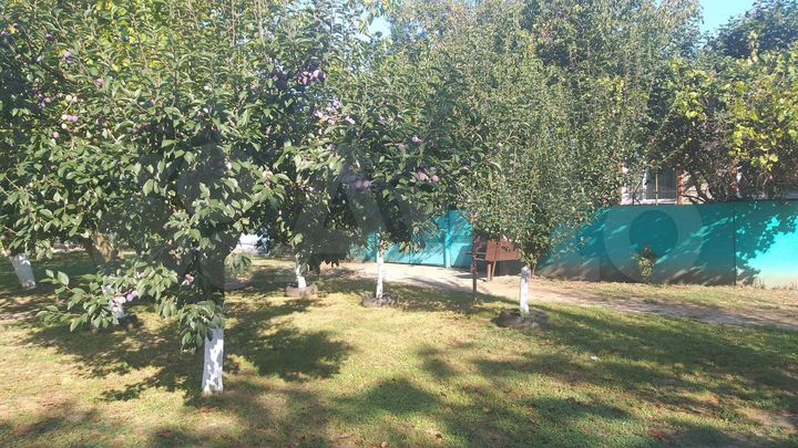 Дом 59 м² на участке 25 сот.