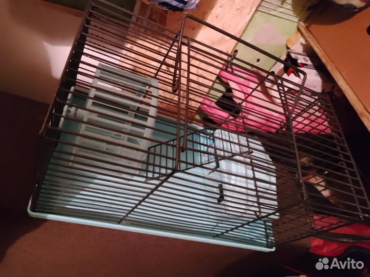 Клетка для джунгарского хомяка