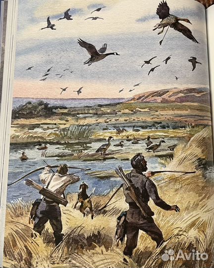 Книга «Таинсвенный остров»