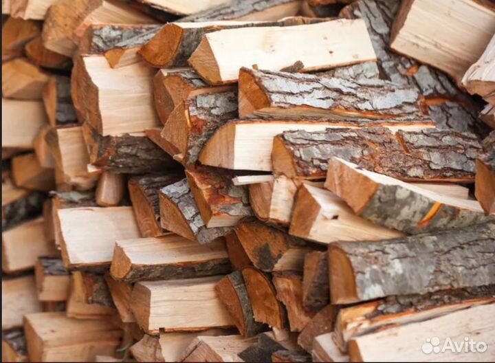 Дрова береза