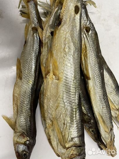 Корюшка холодного копчения