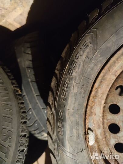 Accelera Accelera 195/65 R15 85ZR