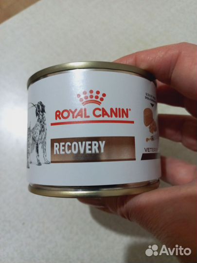 Корм для кошек royal canin recovery