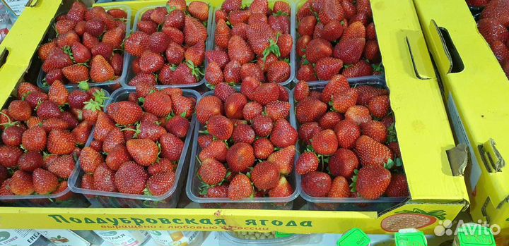 Клубника вкусная сладкая бесплатная доставка