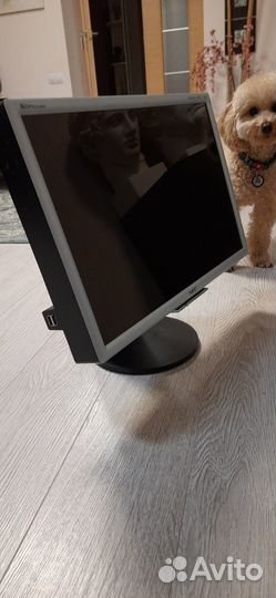 Монитор NEC MultiSync 20WGX2