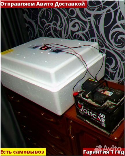 Инкубатор для яиц