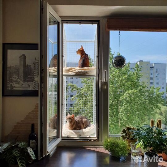 Балкон для кошки, вольер