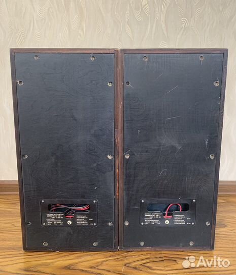 Комплект аккустики Вега 25AC 109-2