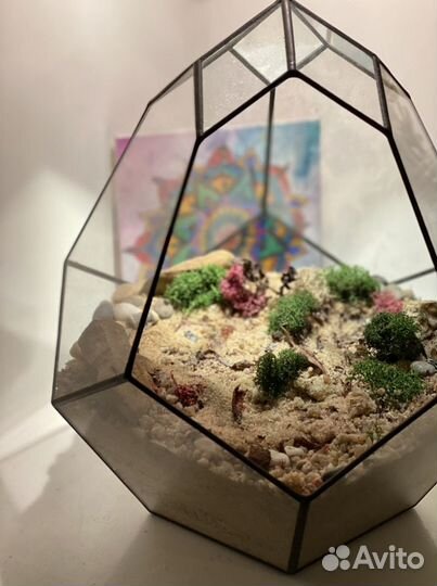 Ваза стеклянная для флорариума (суккуленты)