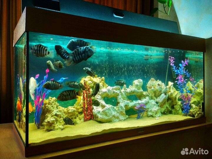 Продам аквариум
