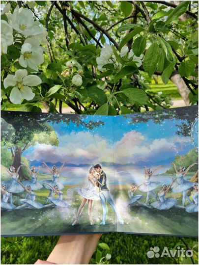 Лебединое озеро книга музыкальная