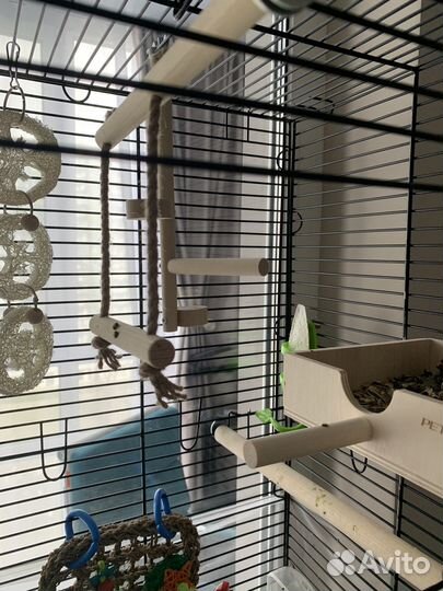 Попугаи волнистики с клеткой малыши