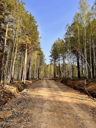 Участок 15 сот. (СНТ, ДНП)