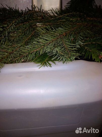 Пихтовое масло