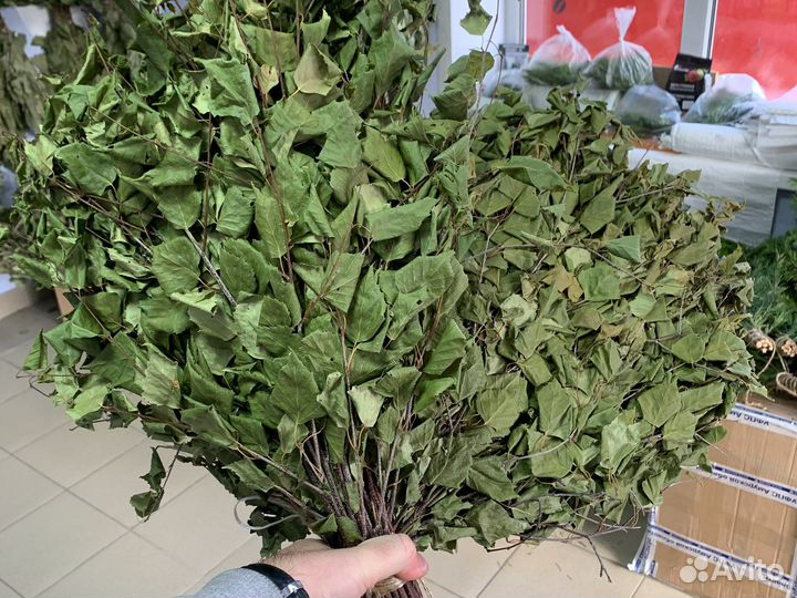 Веники Березовые для бани