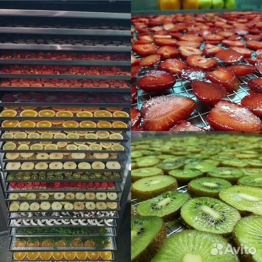 Сушилка, сушильный шкафТ120-25, дегидратор камера