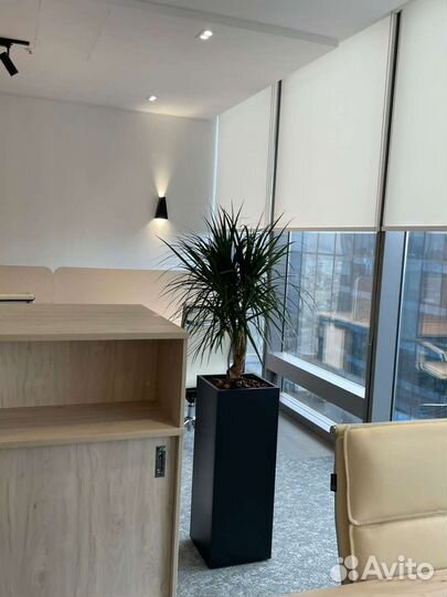 Кашпо-перегородка в офис