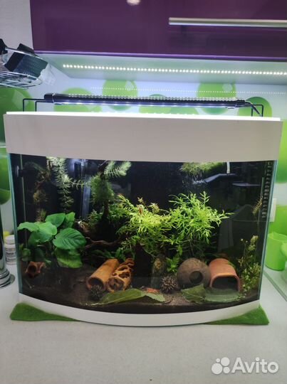 Аквариум 50 литров