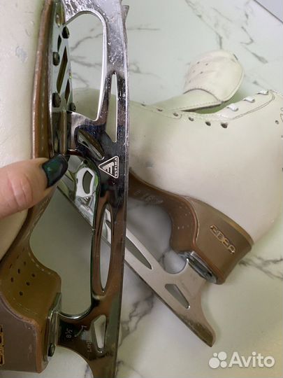 Фигурные Коньки edea chorus 230