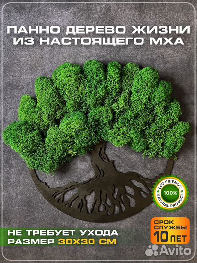 Панно из мха