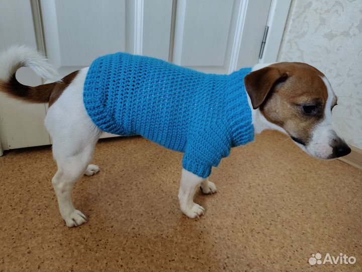 Свитер для собак